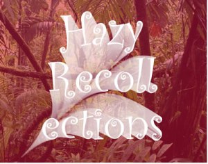 HAZY RECOLLECTIONS WEB